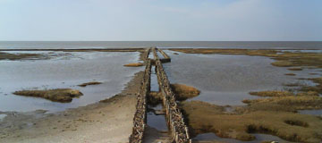 Weltnaturerbe Wattenmeer