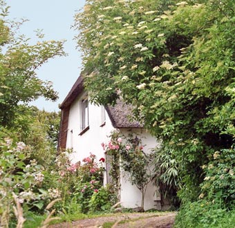 Hus op'n Diek Ostseite