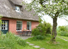 Terasse von Reethaus 1